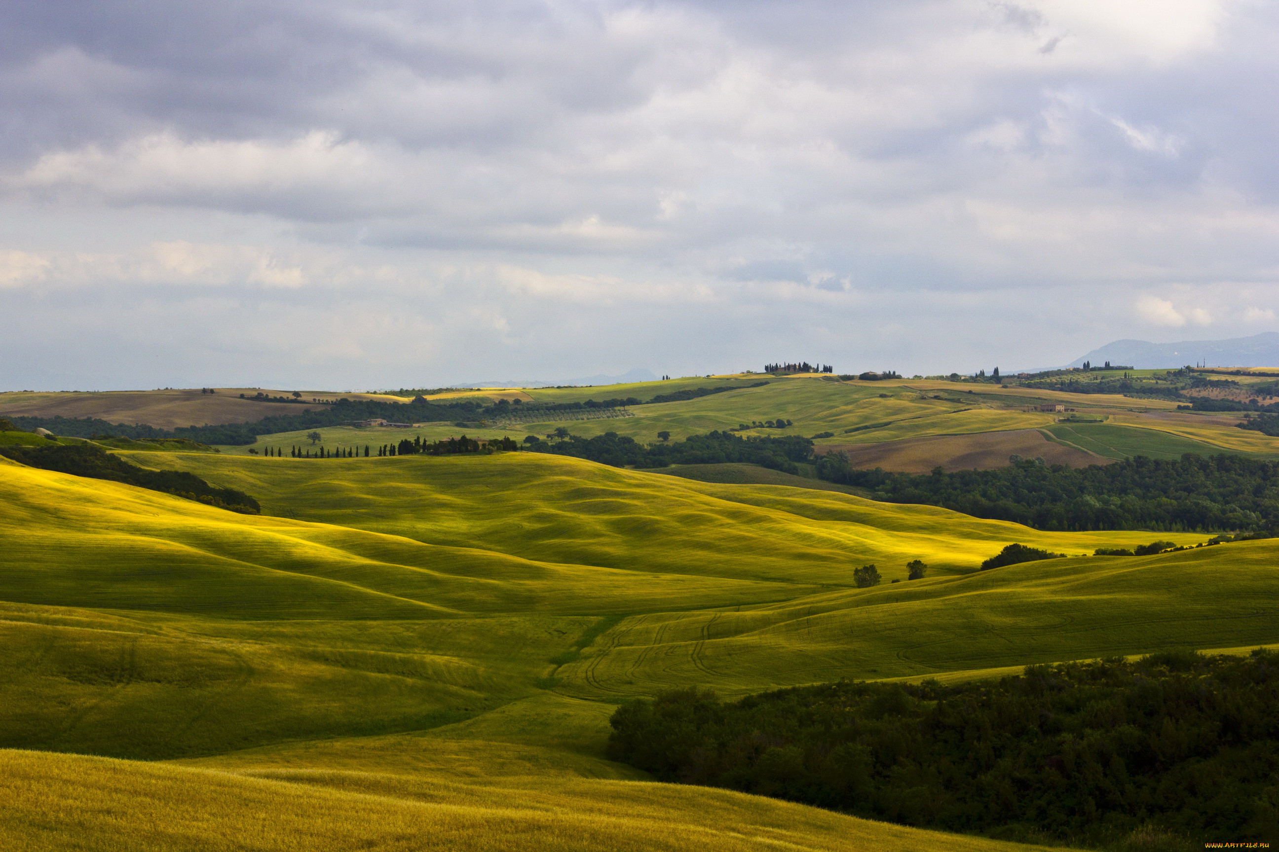 montalcino, tuscany, , , 